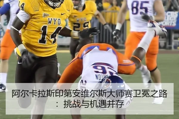 a-er-ka-la-si-yin-di-an-wei-er-si-da-shi-sai-wei-mian-zhi-lu-tiao-zhan-yu-ji-yu-bing-cun-1-515.jpg